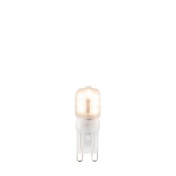 G9 LED Frosted 1lt Accessory